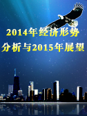 2014年經濟形勢分析與2015年展望 