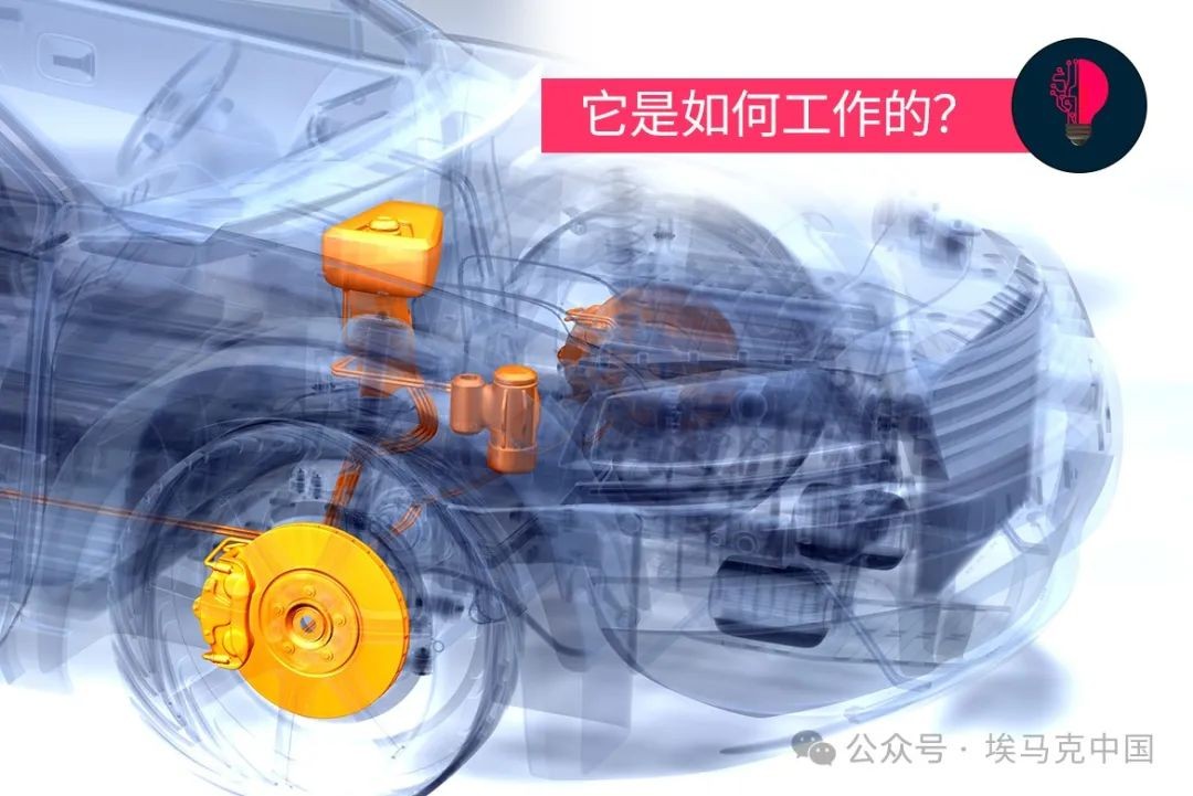 微信圖片_20240911131254.jpg